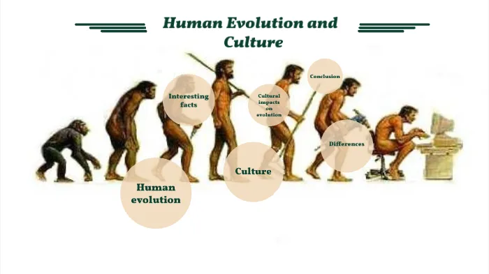 Evolución Cultural
