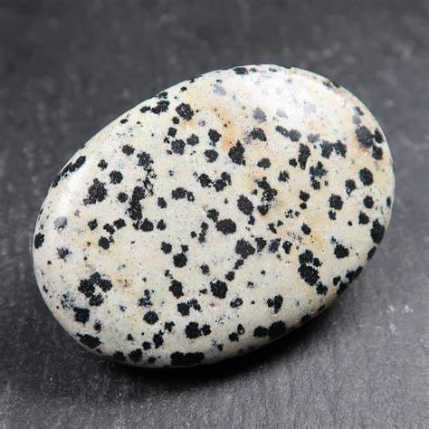 Dalmatian Jasper