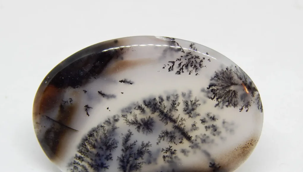 Dendritic-Agate-6