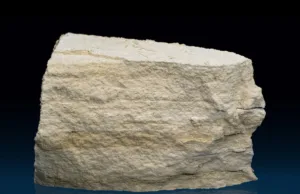 Diatomite