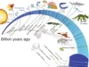 Evolution of Life