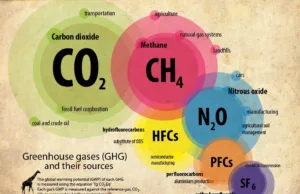 Greenhouse Gases in Geological History