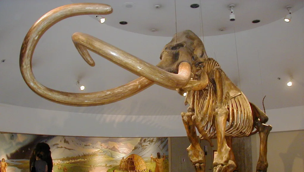 columbian_mammoth