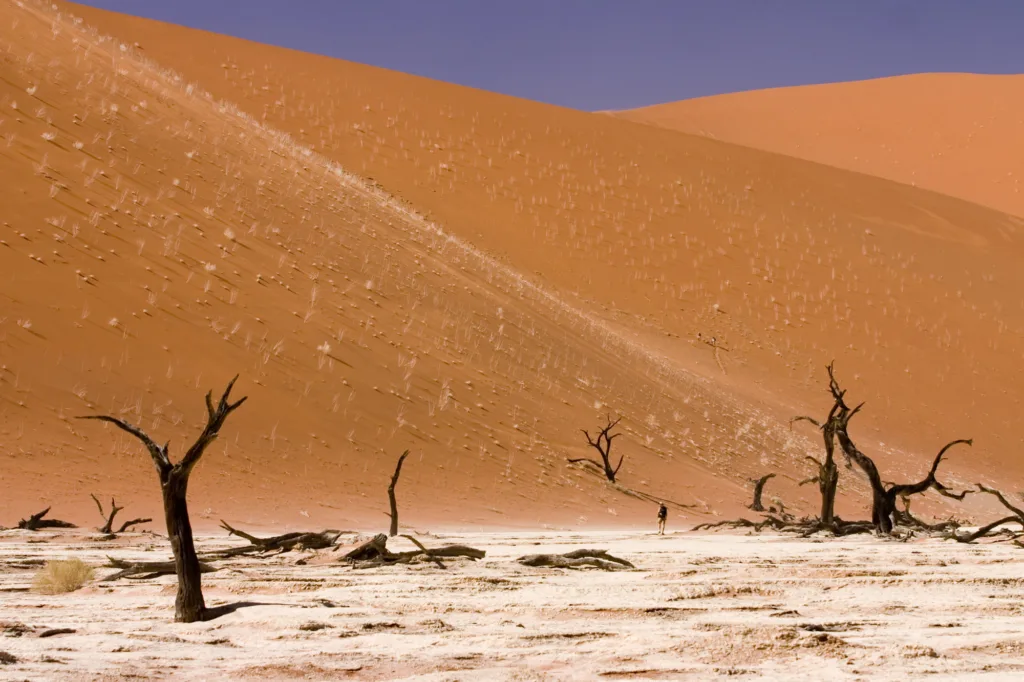 Namib-Naukluft National Park
