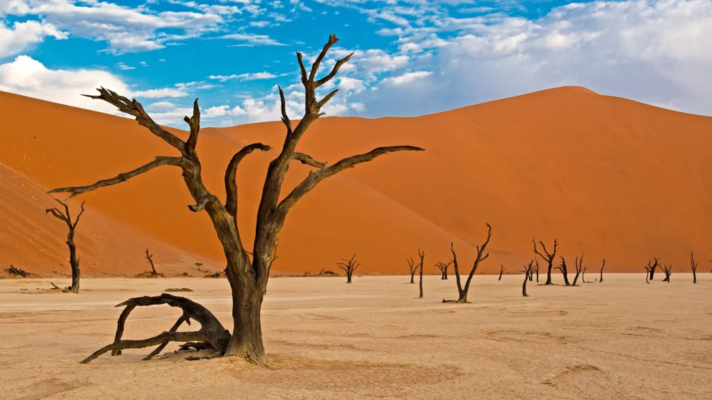 Namib-Naukluft National Park