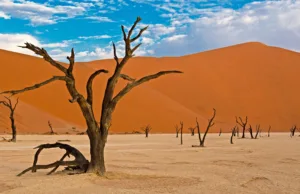Namib-Naukluft National Park, Namibia