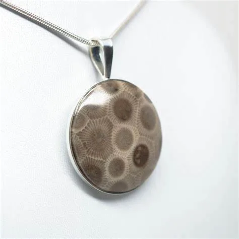 Pedra Petoskey em joias