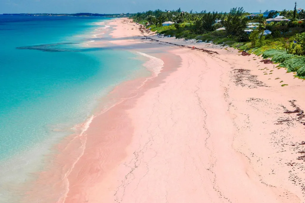 Pink Sand Beaches (Harbour Island, Bahamas)