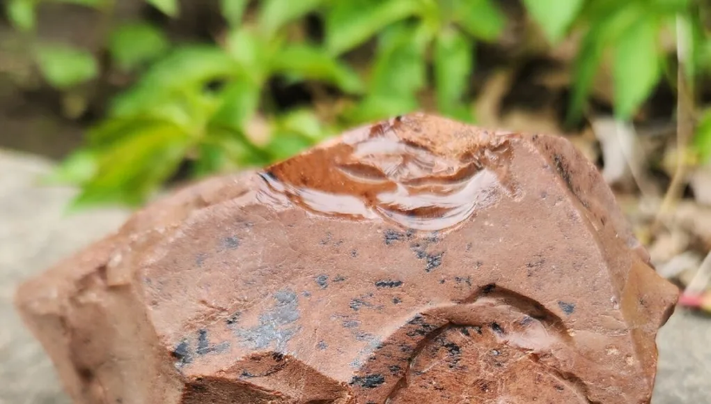 Pumpkin-Obsidian-4