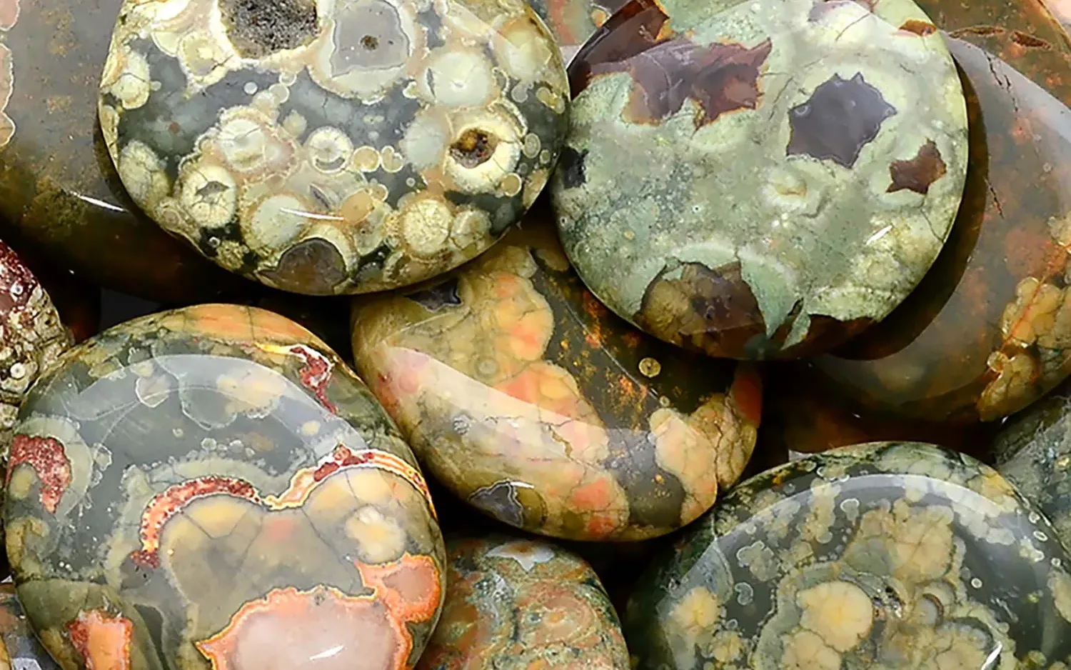 Rainforest Jasper