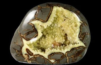 Septarian
