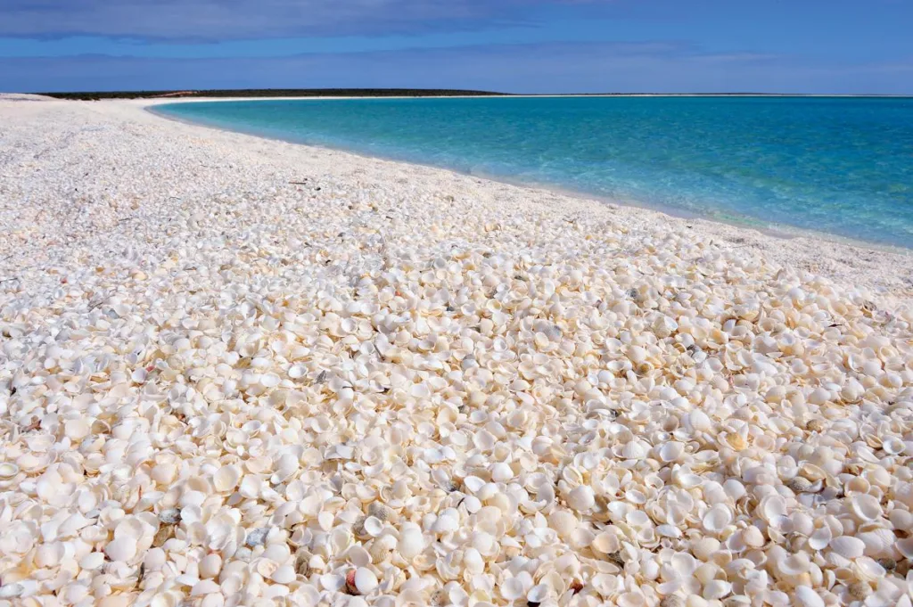 Shell Beach (Shark Bay, Australia)