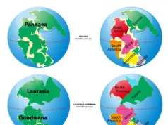The Geological Evolution of Continents
