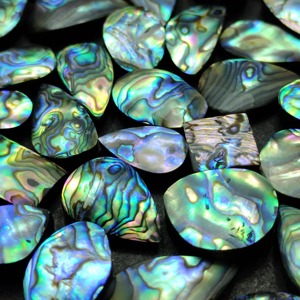 Abalone Stone
