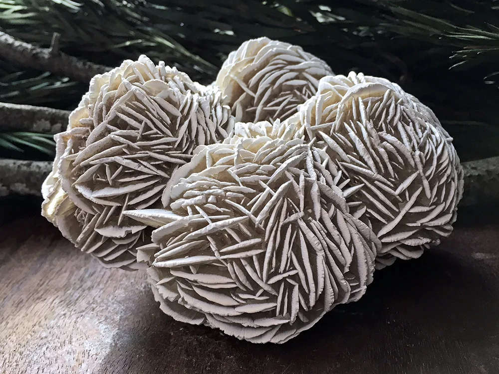 Desert Rose