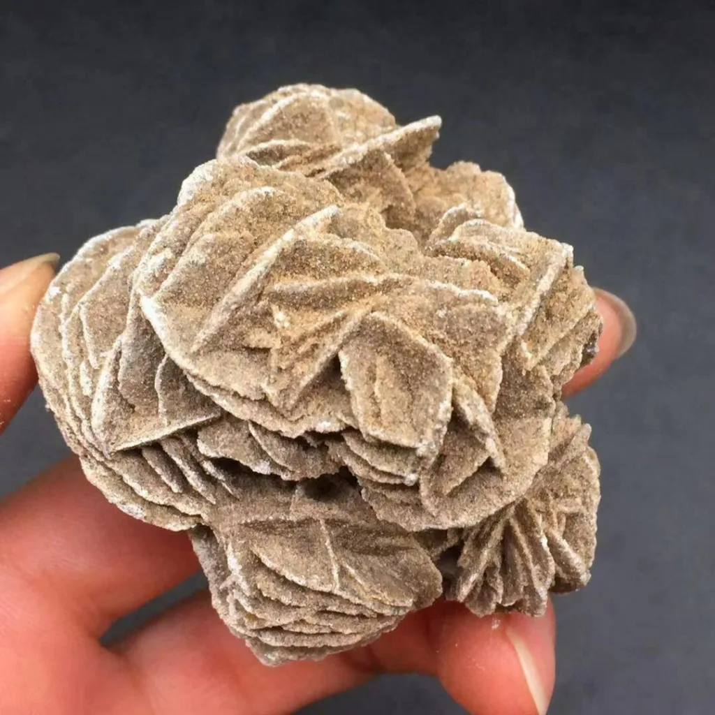 Desert Rose