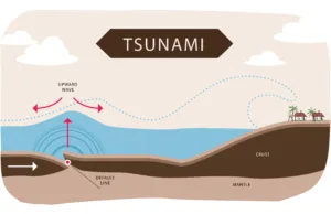 Anatomia de um Tsunami