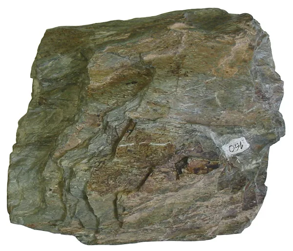 Greenschist 