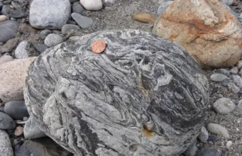 Migmatite