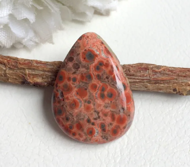 Poppy-Jasper-4