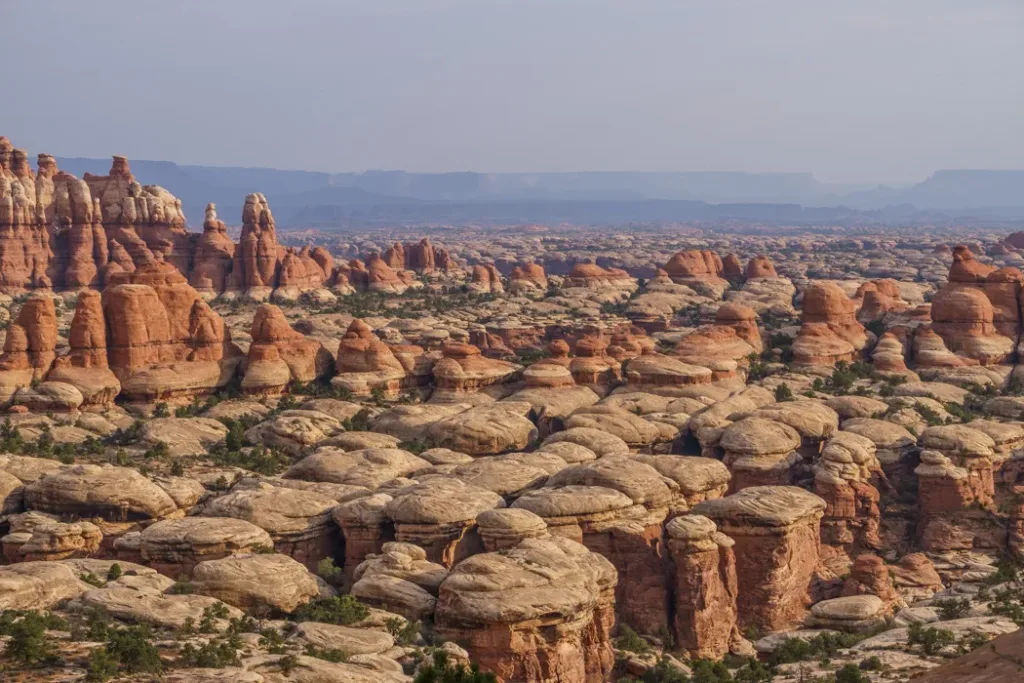 The Needles in Canyonlands National Park in Utah, USA