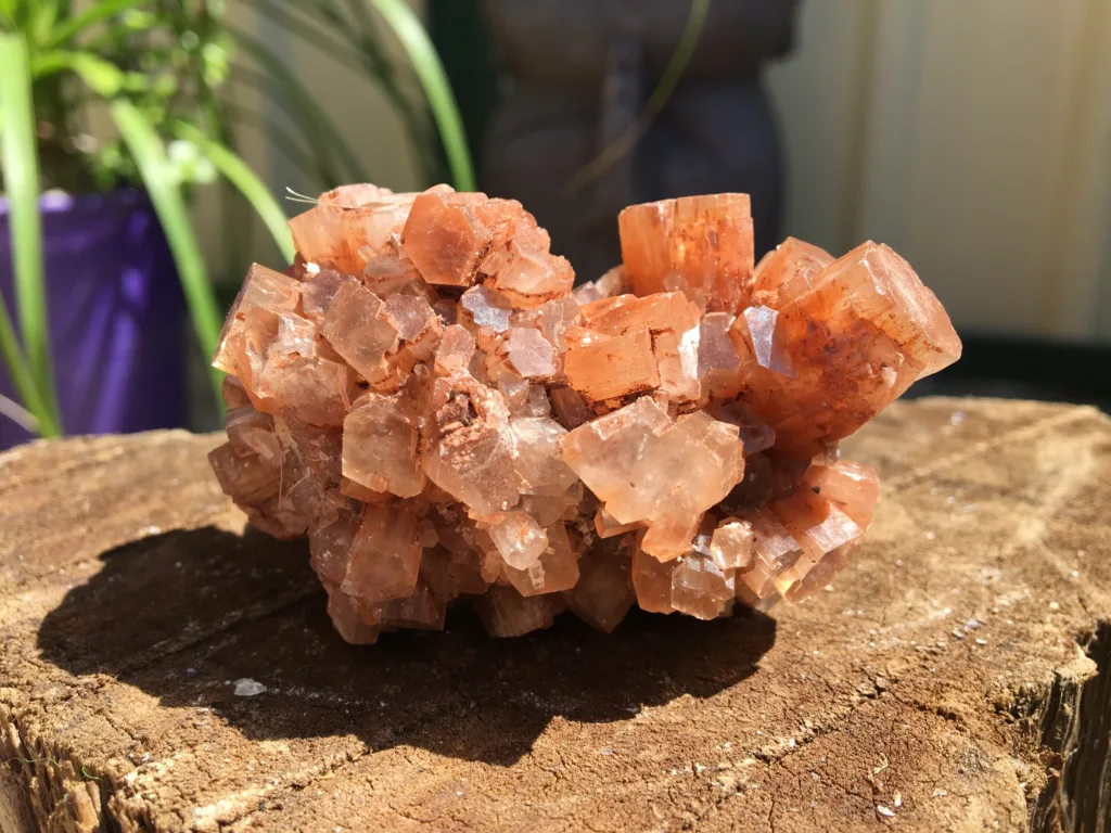 Aragonite Star Clusters