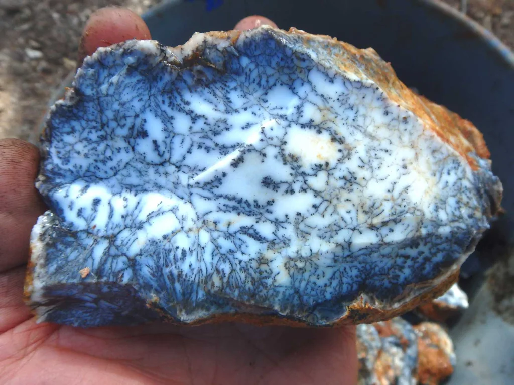 Dendritic Opal