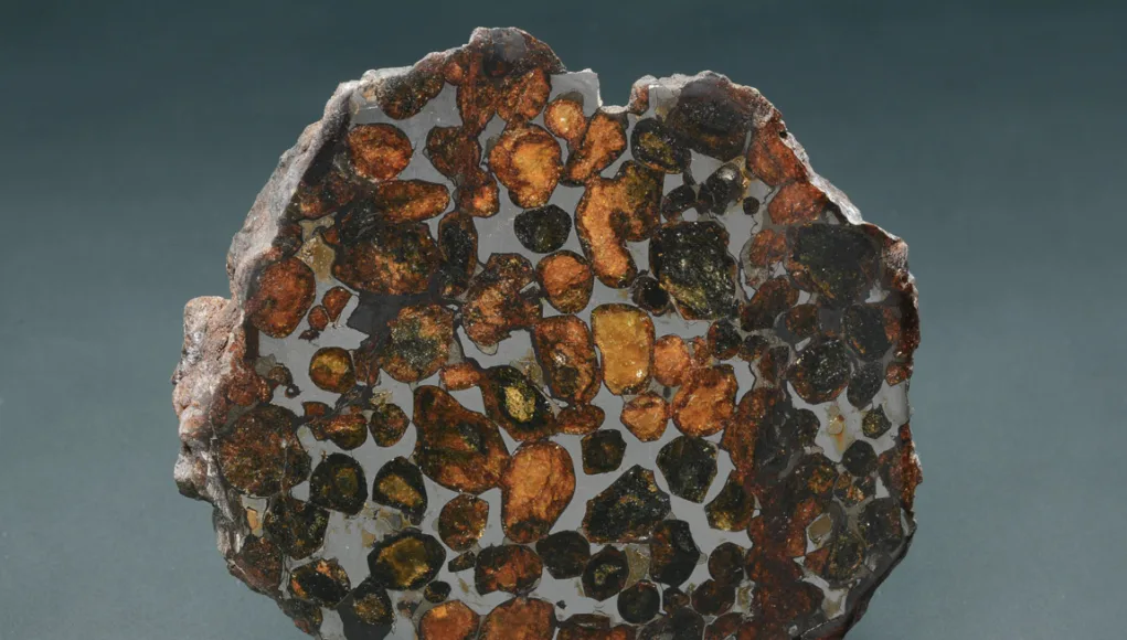 The-Sericho-Pallasite-Meteorite-2