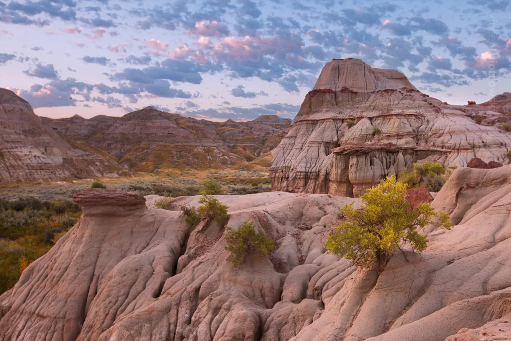Dinosaur Provincial Park, Canada