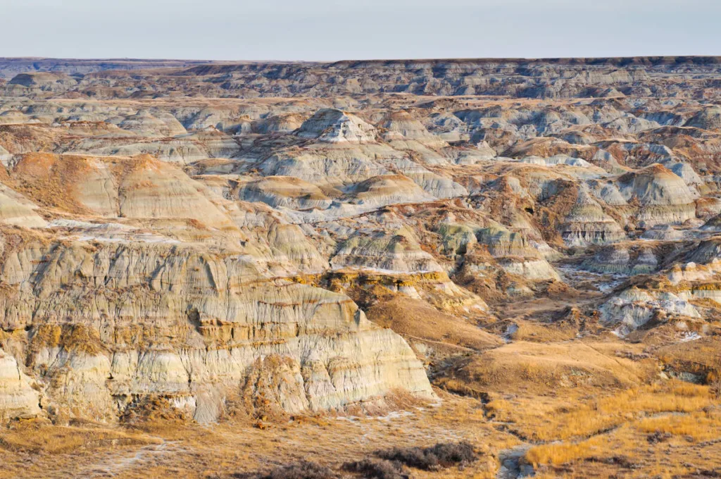 Dinosaur Provincial Park, Canada