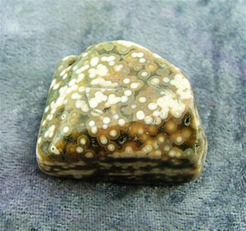 Orbicular Jasper