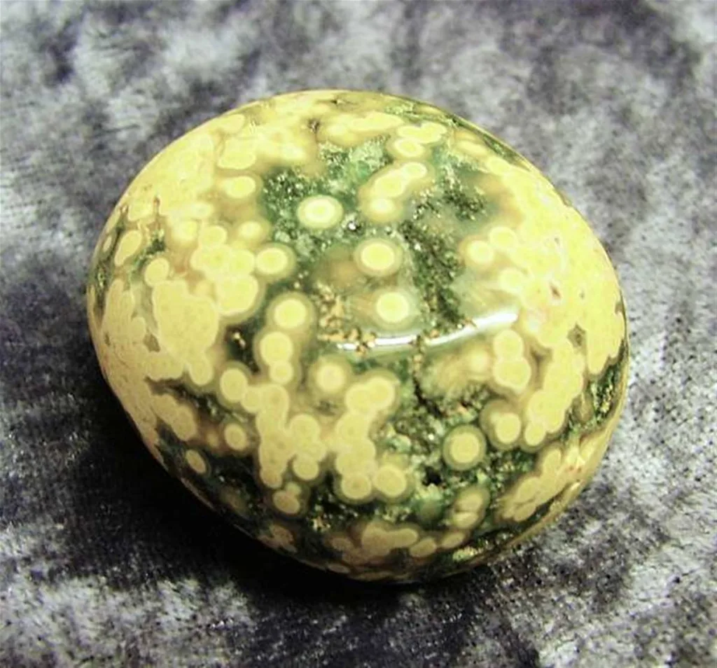 Orbicular Jasper