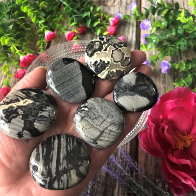 Silver-Leaf-Jasper-4