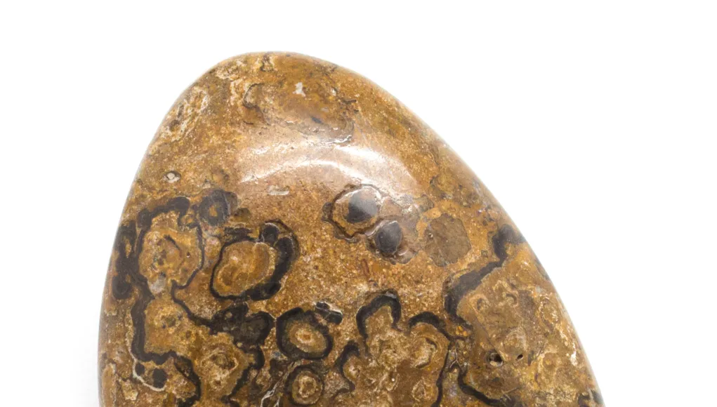 Stromatolites-3