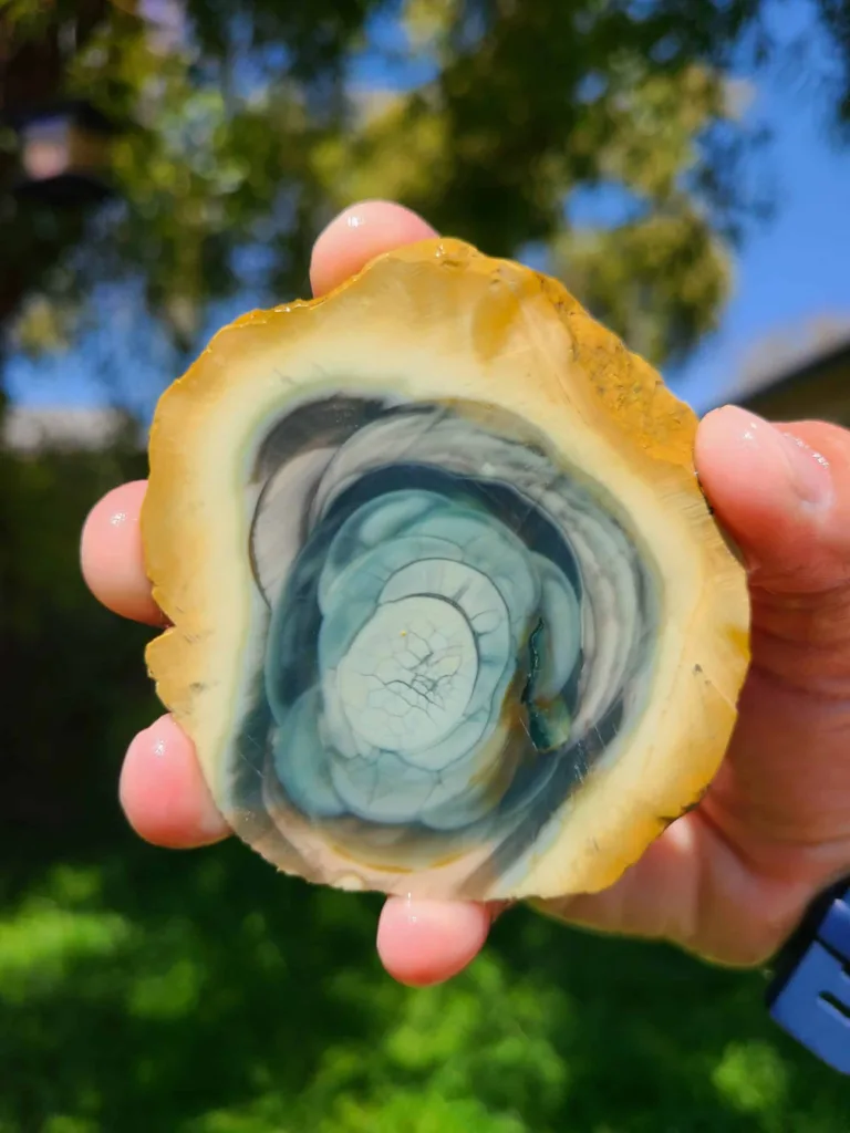 Royal Imperial Jasper