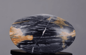 Picasso Jasper