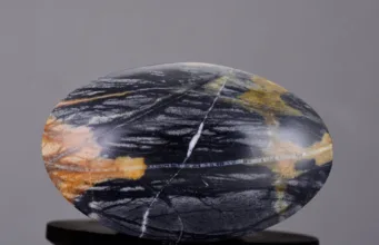 Picasso jasper