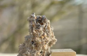 Fulgurites