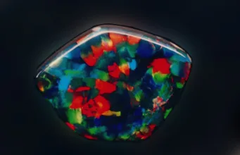 Harlequin Opal