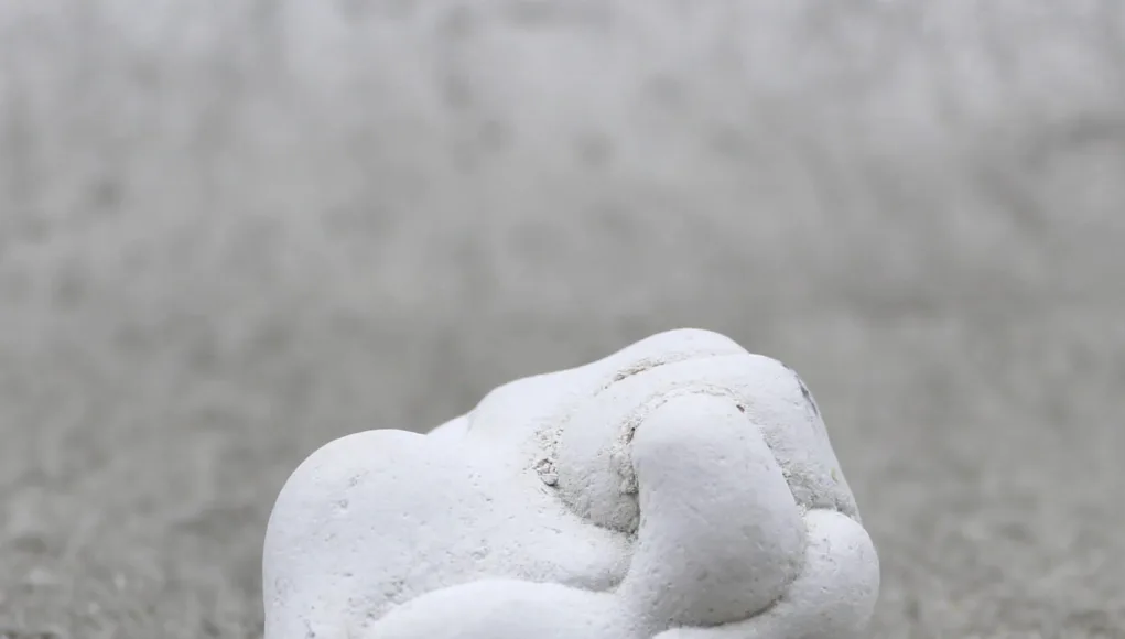 Menalite-3