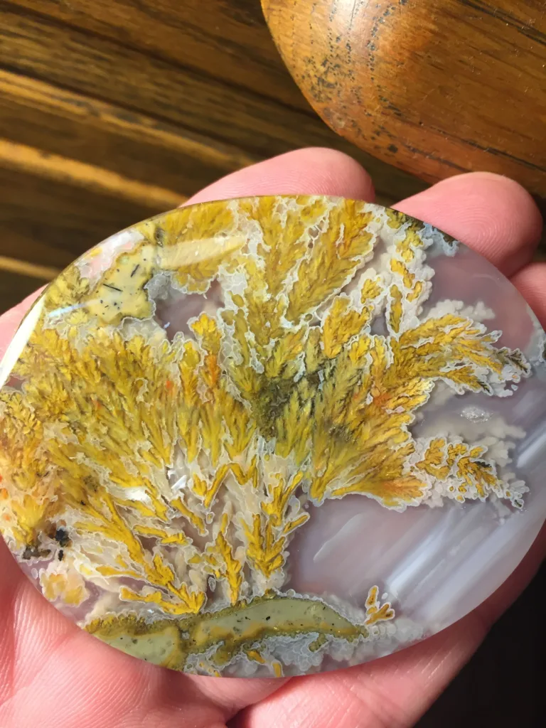 Plume Agate
