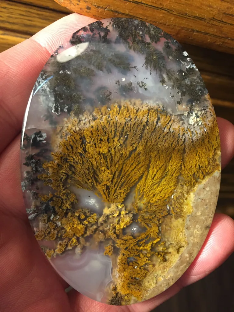 Plume Agate