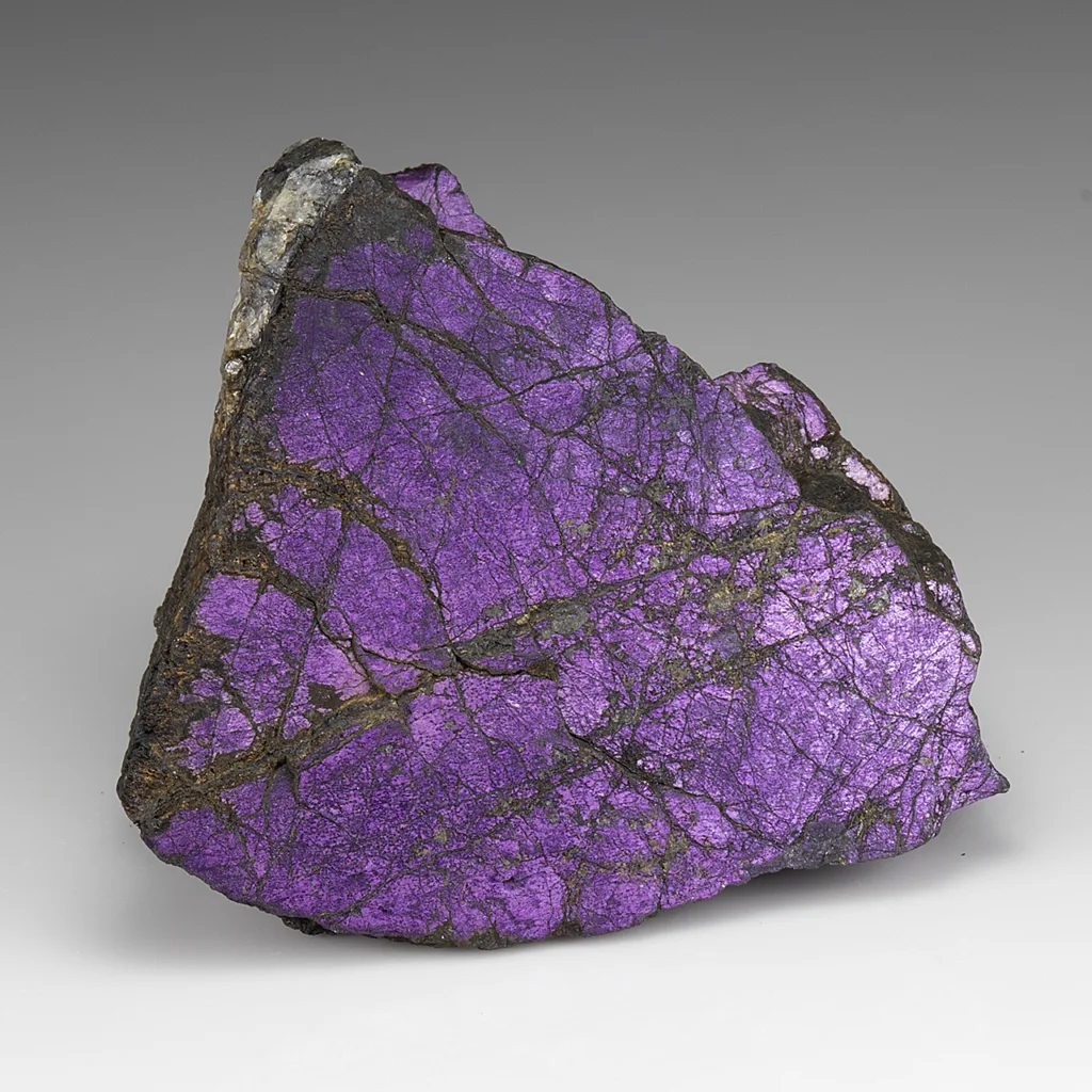 Purpurite