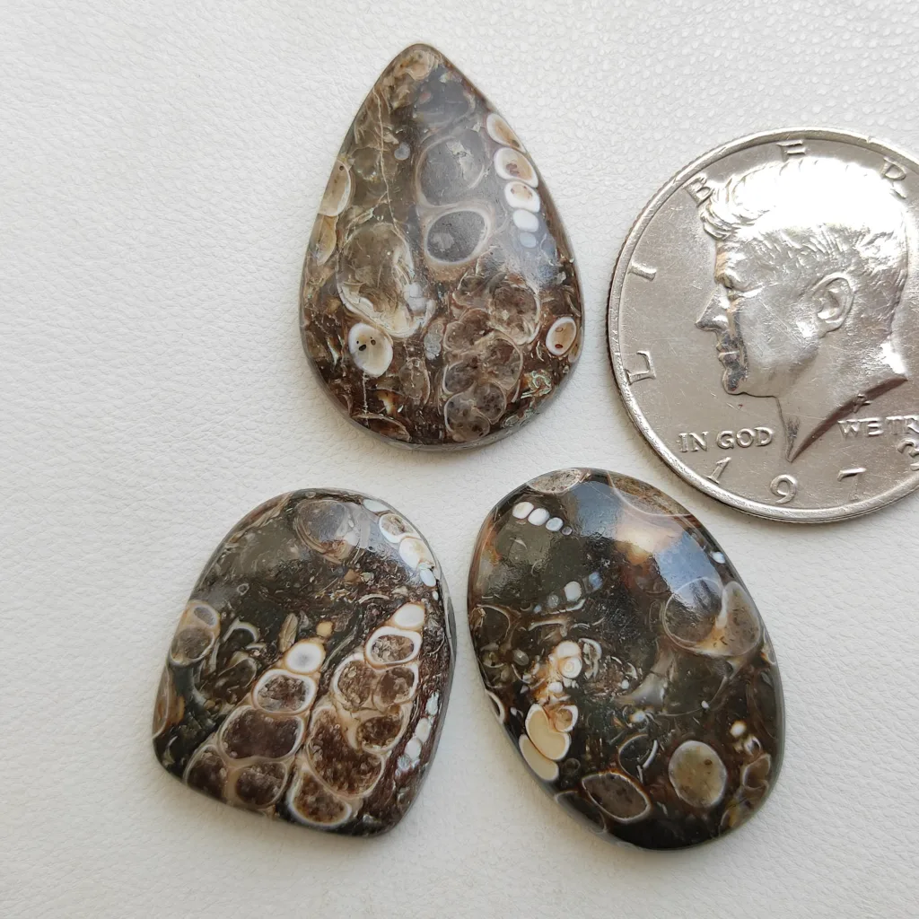 Fossil agate
