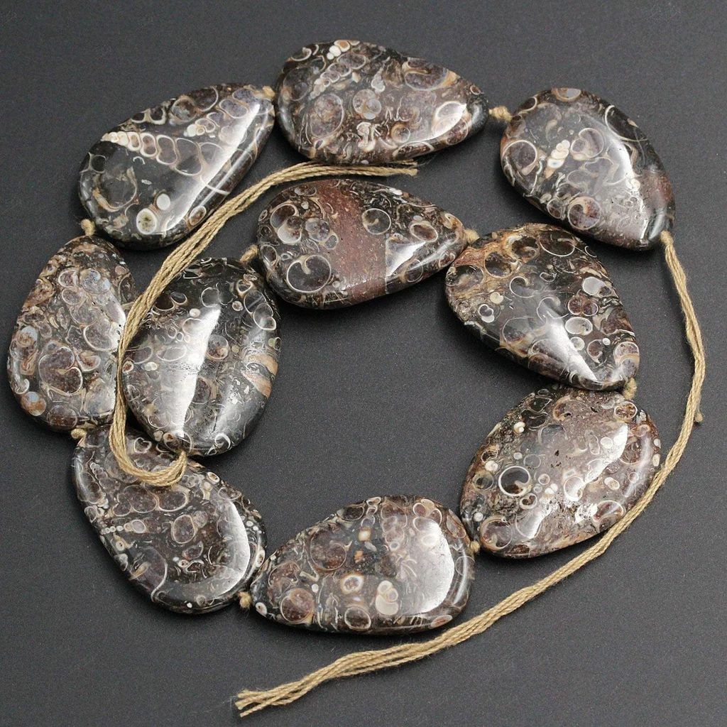 Fossil agate