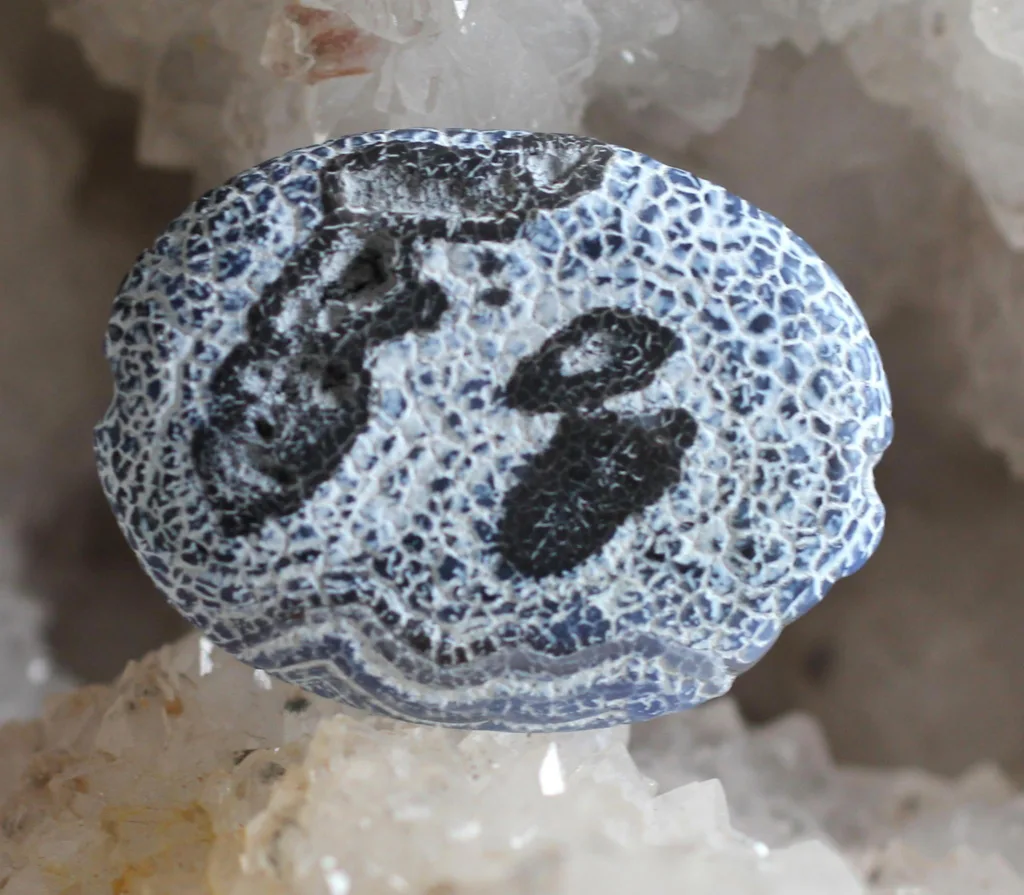 Wind Fossil Agate
