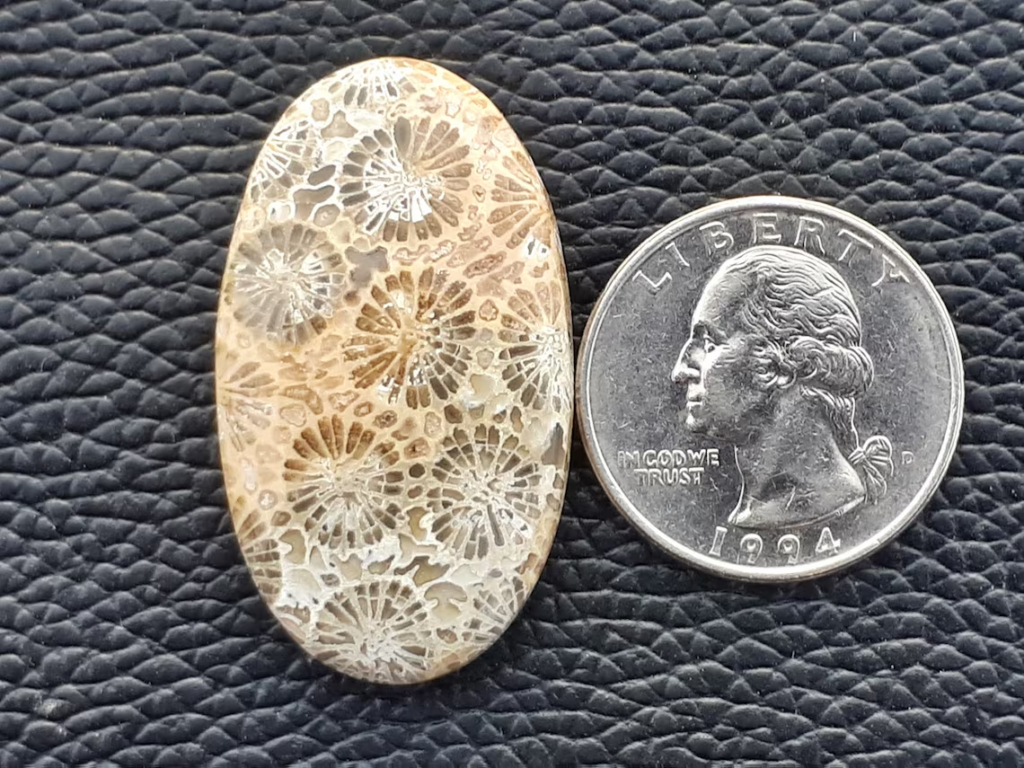 Fossil agate