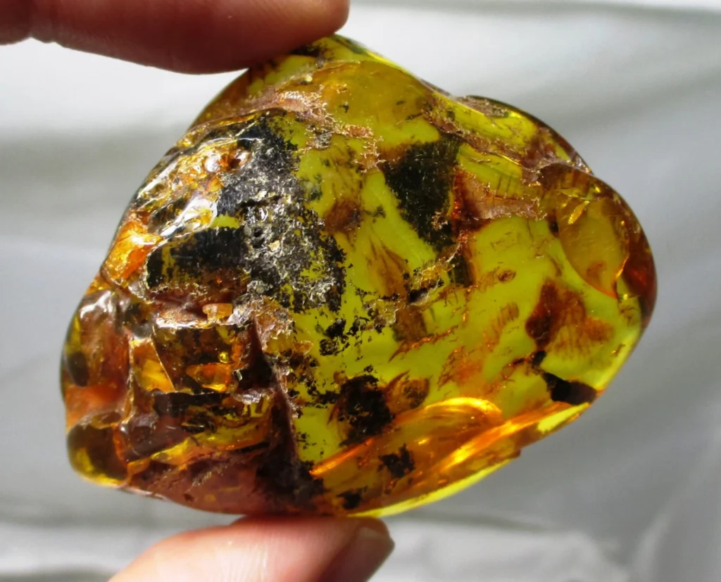 Baltic Amber