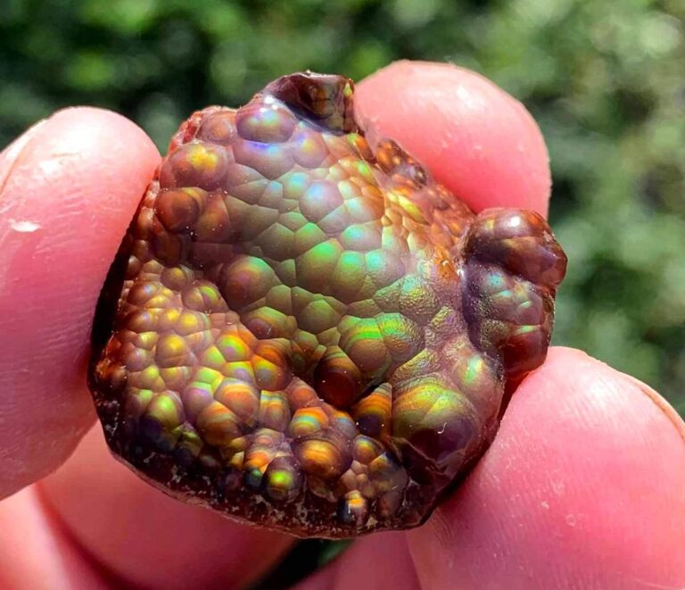 Agate Types and Varieties - Geology Science