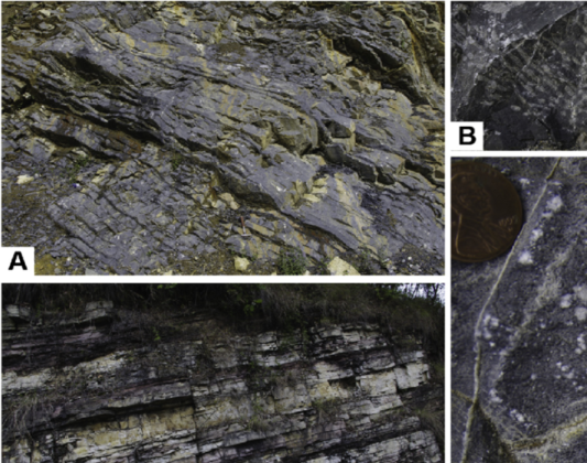 Limestone Formation and Carbonate Platforms - Geology Science